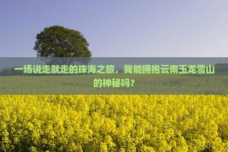 一场说走就走的珠海之旅，我能拥抱云南玉龙雪山的神秘吗？
