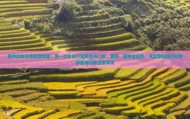 常州出发云南旅游攻略：第一次自由行昆明景点门票、费用、路线全信息，河北国际旅行社带你看看行程注意事项