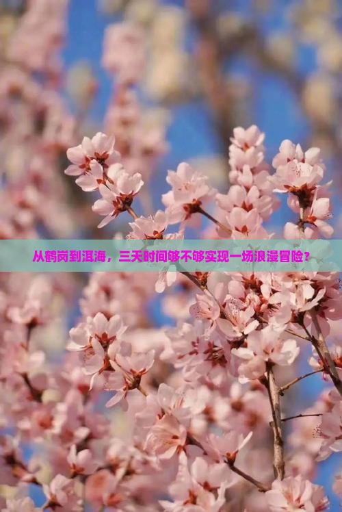从鹤岗到洱海，三天时间够不够实现一场浪漫冒险？