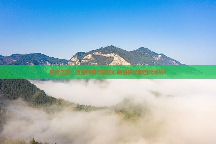 探险之旅！宜春朋友怎样把心跳留在云南西双版纳？