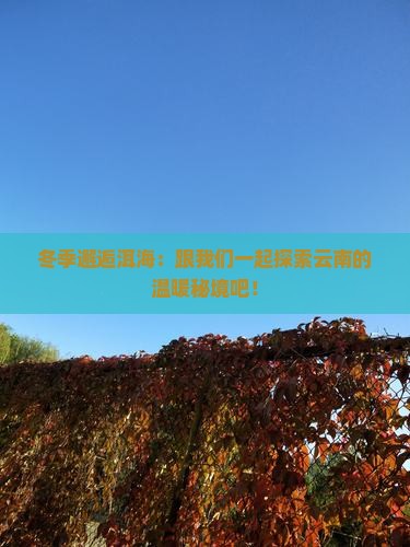 冬季邂逅洱海：跟我们一起探索云南的温暖秘境吧！