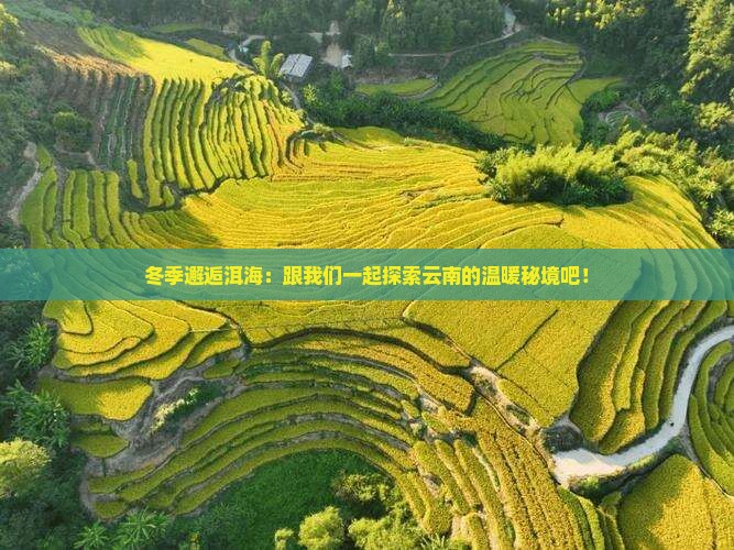 冬季邂逅洱海：跟我们一起探索云南的温暖秘境吧！