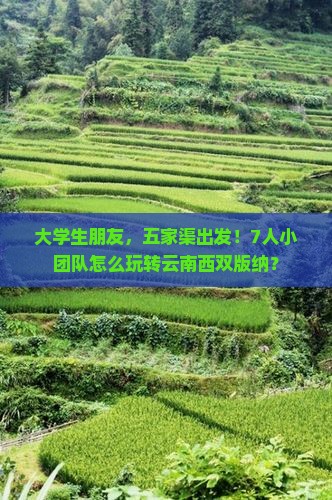 大学生朋友，五家渠出发！7人小团队怎么玩转云南西双版纳？
