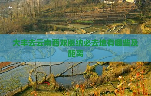 大丰去云南西双版纳必去地有哪些及距离