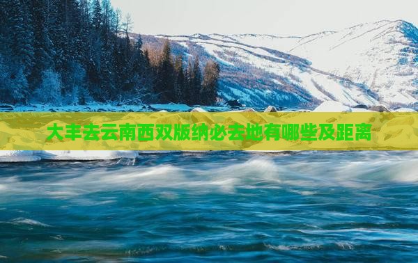 大丰去云南西双版纳必去地有哪些及距离