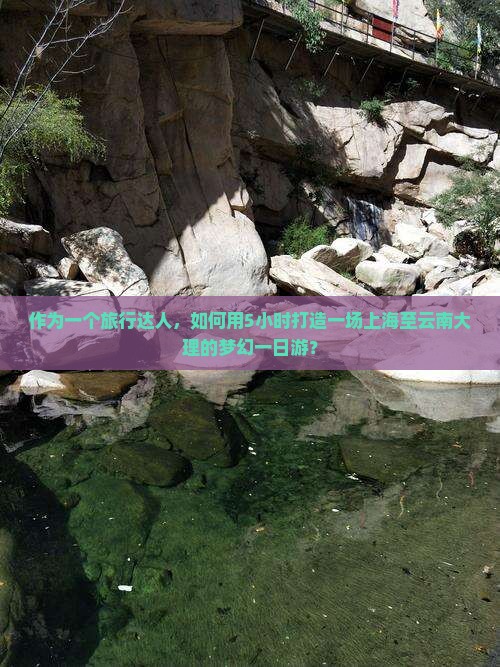 作为一个旅行达人，如何用5小时打造一场上海至云南大理的梦幻一日游？