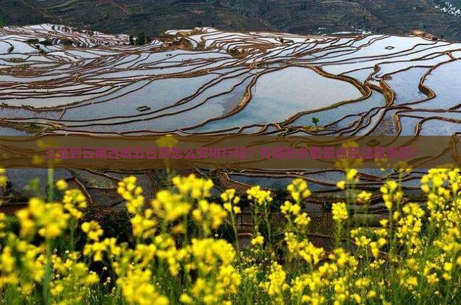 三亚到云南古城五日游怎么安排行程？有哪些必看景点和注意事项？