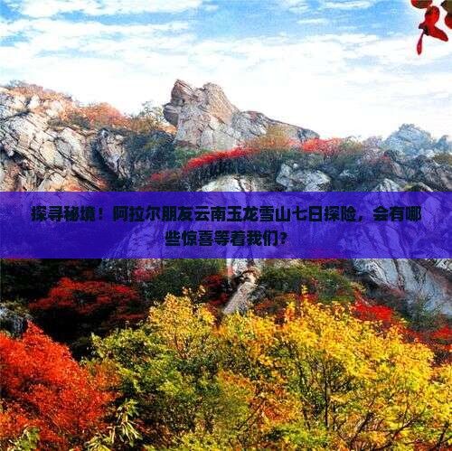 探寻秘境！阿拉尔朋友云南玉龙雪山七日探险，会有哪些惊喜等着我们？