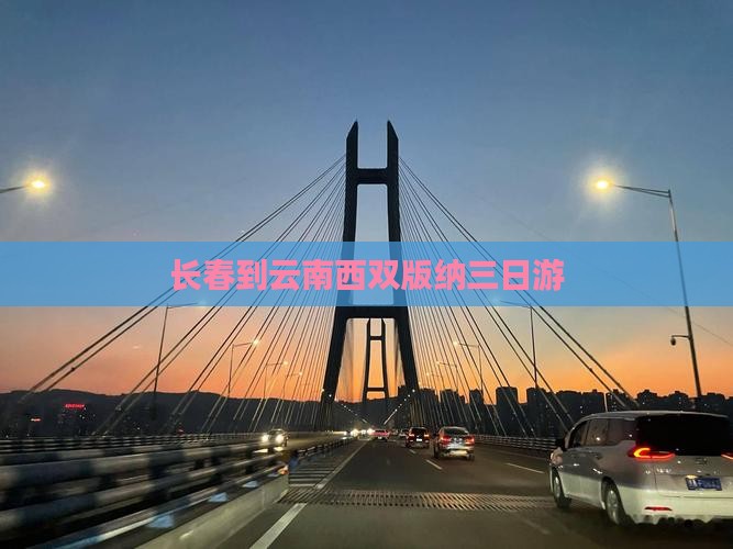 长春到云南西双版纳三日游