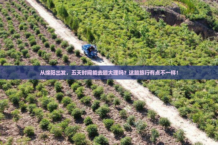 从绵阳出发，五天时间能去趟大理吗？这趟旅行有点不一样！