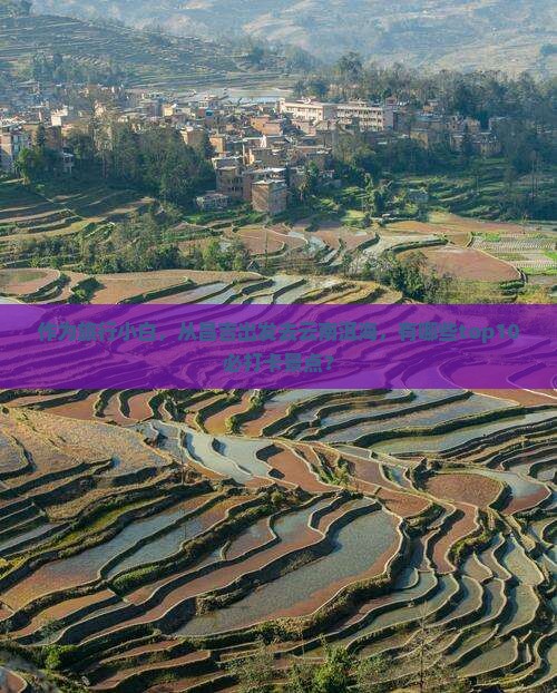 作为旅行小白，从昌吉出发去云南洱海，有哪些top10必打卡景点？