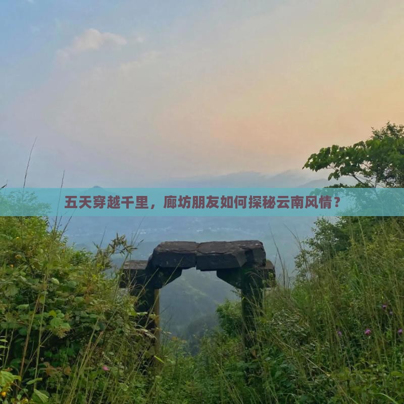 五天穿越千里，廊坊朋友如何探秘云南风情？