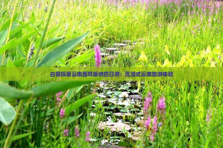 白银探索云南西双版纳四日游：沉浸式云南旅游体验