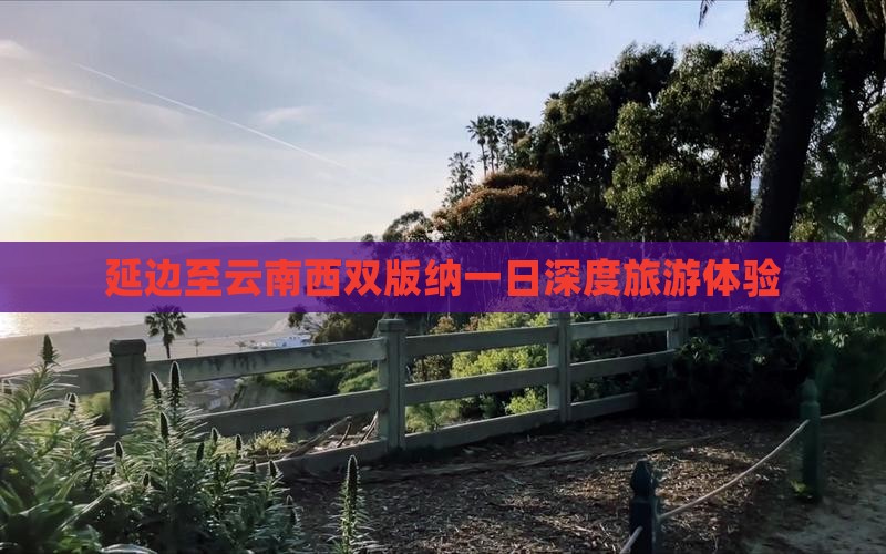 延边至云南西双版纳一日深度旅游体验