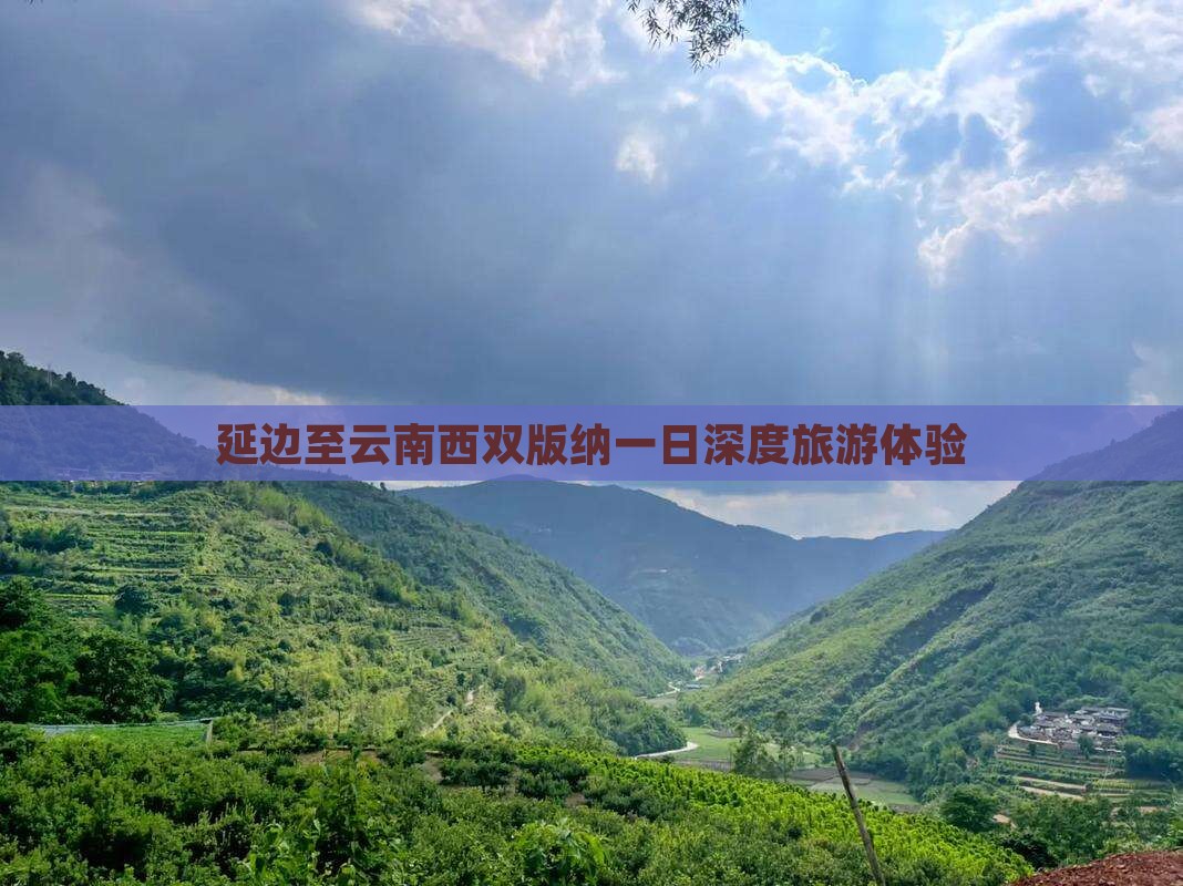 延边至云南西双版纳一日深度旅游体验