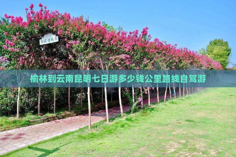 榆林到云南昆明七日游多少钱公里路线自驾游