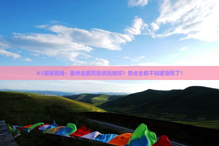 #1游客视角：惠州去西双版纳玩啥好？景点全都不知道急死了！