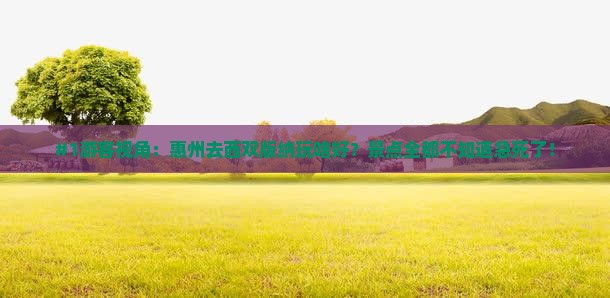 #1游客视角：惠州去西双版纳玩啥好？景点全都不知道急死了！