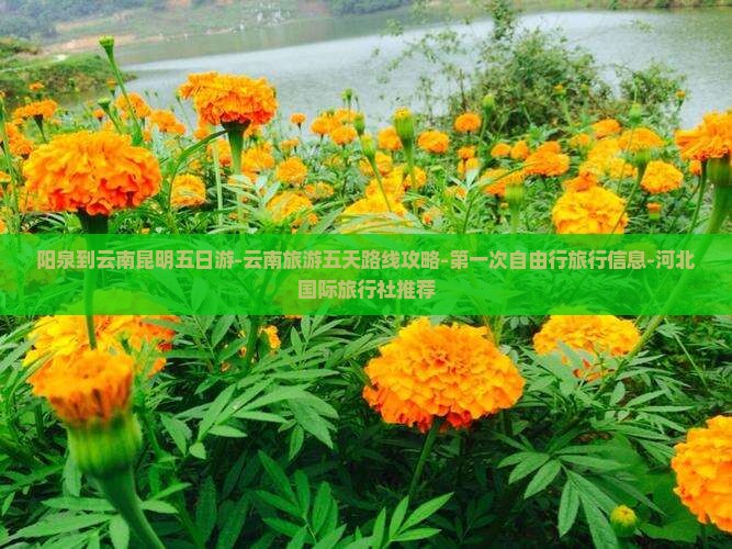 阳泉到云南昆明五日游-云南旅游五天路线攻略-第一次自由行旅行信息-河北国际旅行社推荐