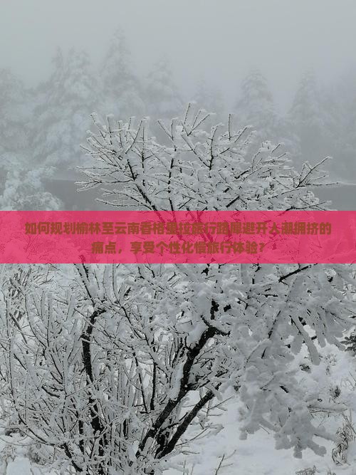 如何规划榆林至云南香格里拉旅行路犀避开人潮拥挤的痛点，享受个性化慢旅行体验？