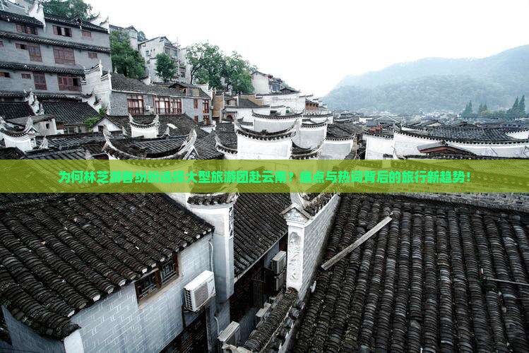 为何林芝游客纷纷选择大型旅游团赴云南？痛点与热词背后的旅行新趋势！