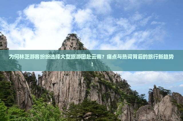 为何林芝游客纷纷选择大型旅游团赴云南？痛点与热词背后的旅行新趋势！