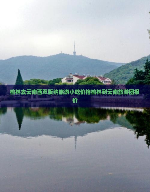 榆林去云南西双版纳旅游小吃价格榆林到云南旅游团报价