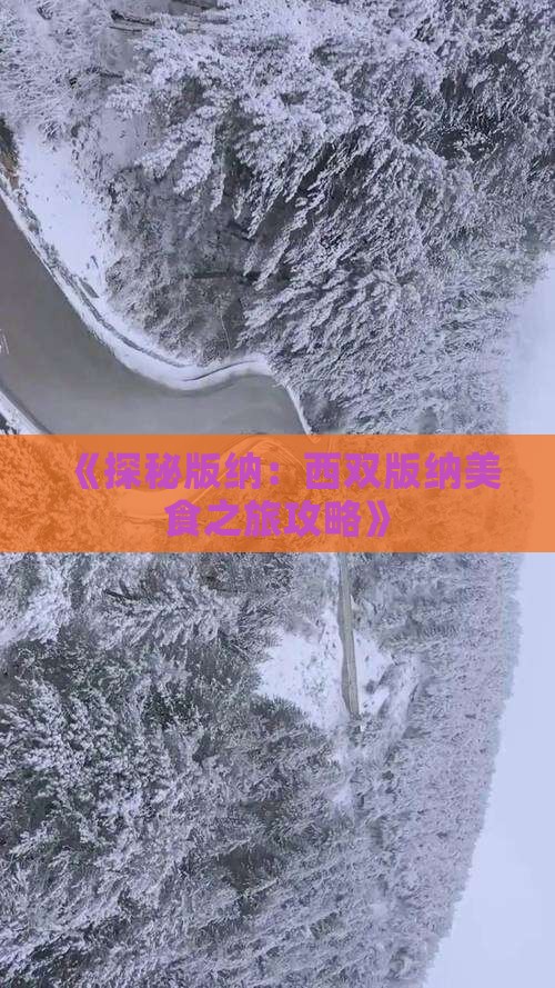 《探秘版纳：西双版纳美食之旅攻略》