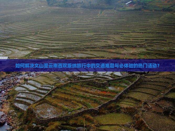 如何解决文山至云南西双版纳旅行中的交通难题与必体验的热门活动？