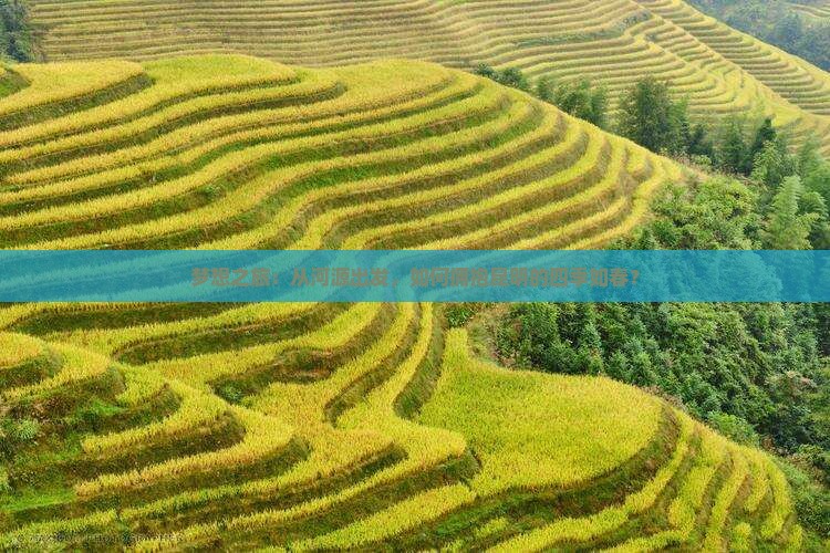 梦想之旅:从河源出发,如何拥抱昆明的四季如春? 梦想之旅:从河源出发,如何拥抱昆明的四季如春?