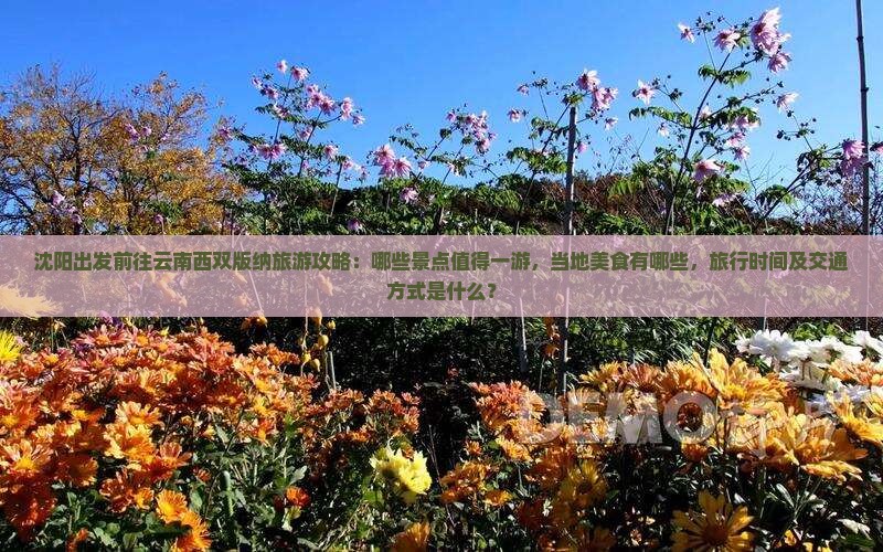 沈阳出发前往云南西双版纳旅游攻略：哪些景点值得一游，当地美食有哪些，旅行时间及交通方式是什么？