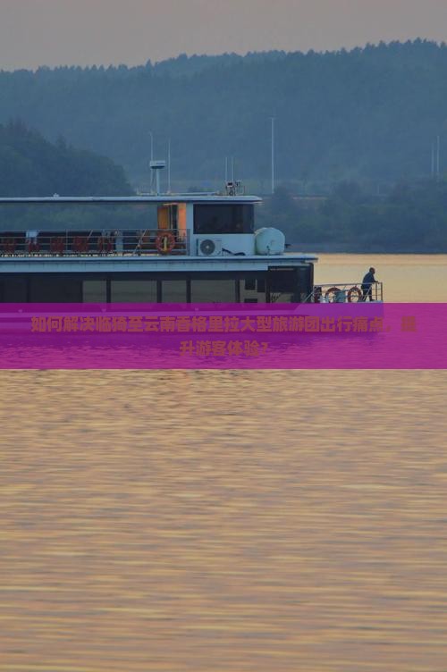 如何解决临猗至云南香格里拉大型旅游团出行痛点，提升游客体验？
