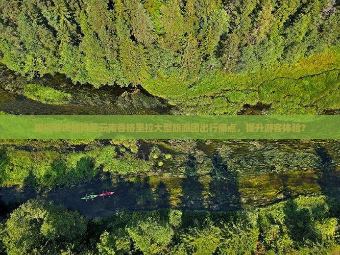 如何解决临猗至云南香格里拉大型旅游团出行痛点，提升游客体验？