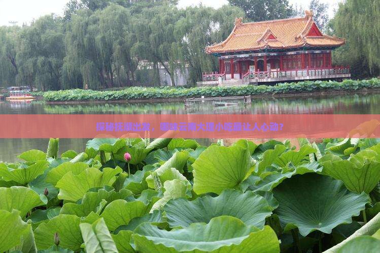探秘抚顺出发，哪味云南大理小吃最让人心动？