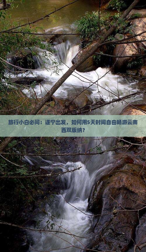 旅行小白必问：遂宁出发，如何用5天时间自由畅游云南西双版纳？