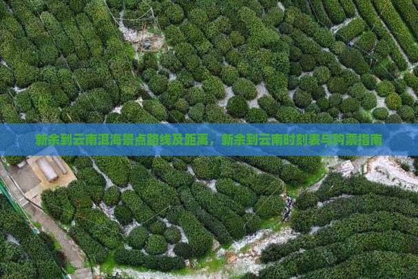 新余到云南洱海景点路线及距离，新余到云南时刻表与购票指南