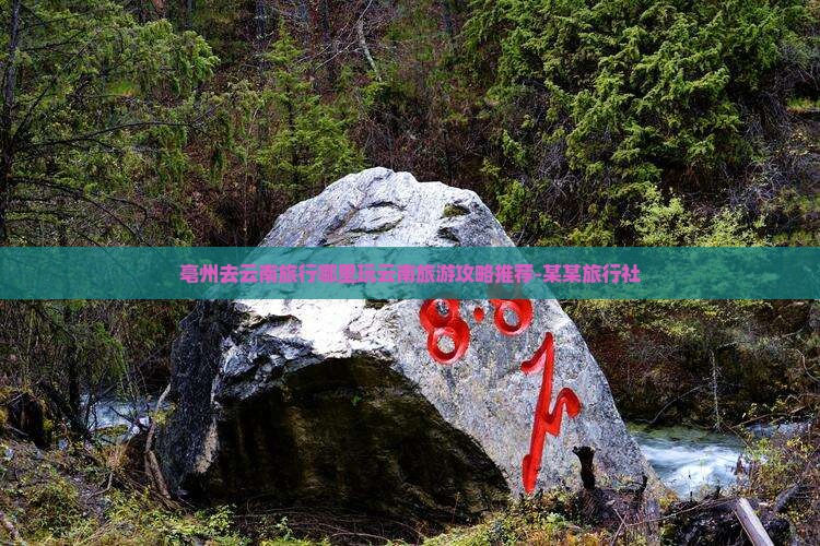 亳州去云南旅行哪里玩云南旅游攻略推荐-某某旅行社