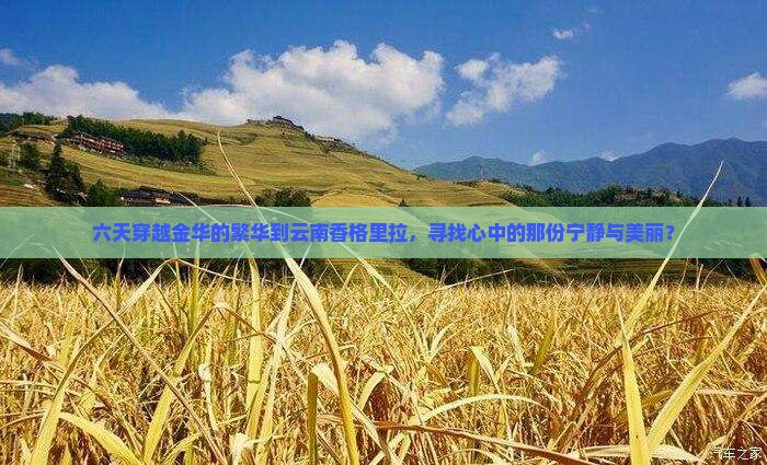 六天穿越金华的繁华到云南香格里拉，寻找心中的那份宁静与美丽？