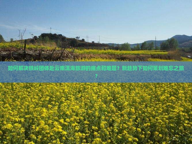 如何解决铁岭团体赴云南洱海旅游的痛点和难题？新趋势下如何策划难忘之旅？