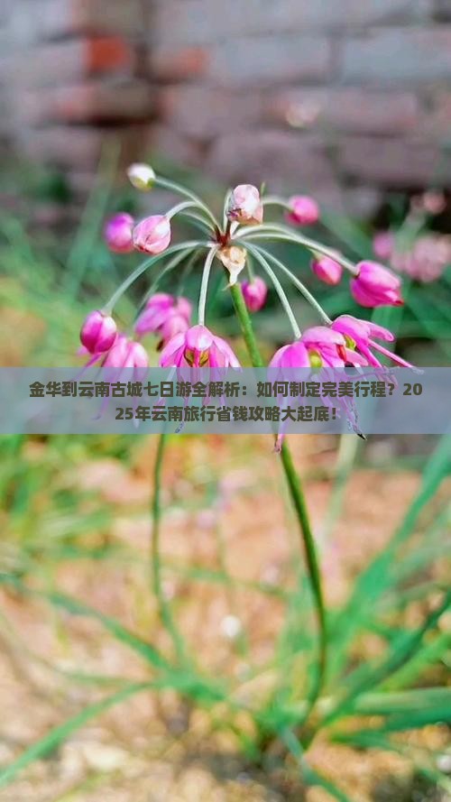 金华到云南古城七日游 金华到云南古城七日游