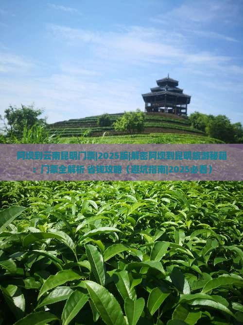 阿坝到云南昆明门票