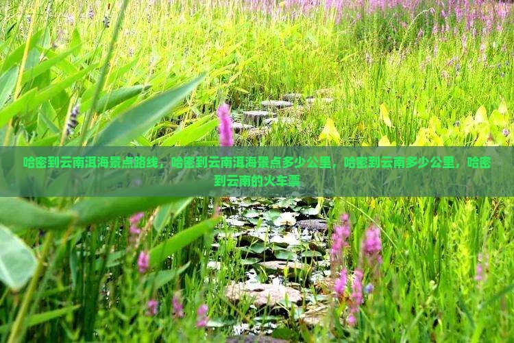 哈密到云南洱海景点