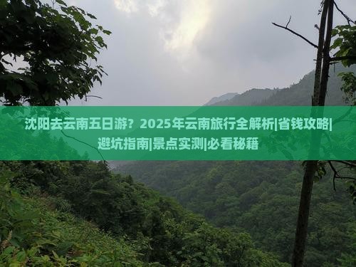 沈阳去云南五日游