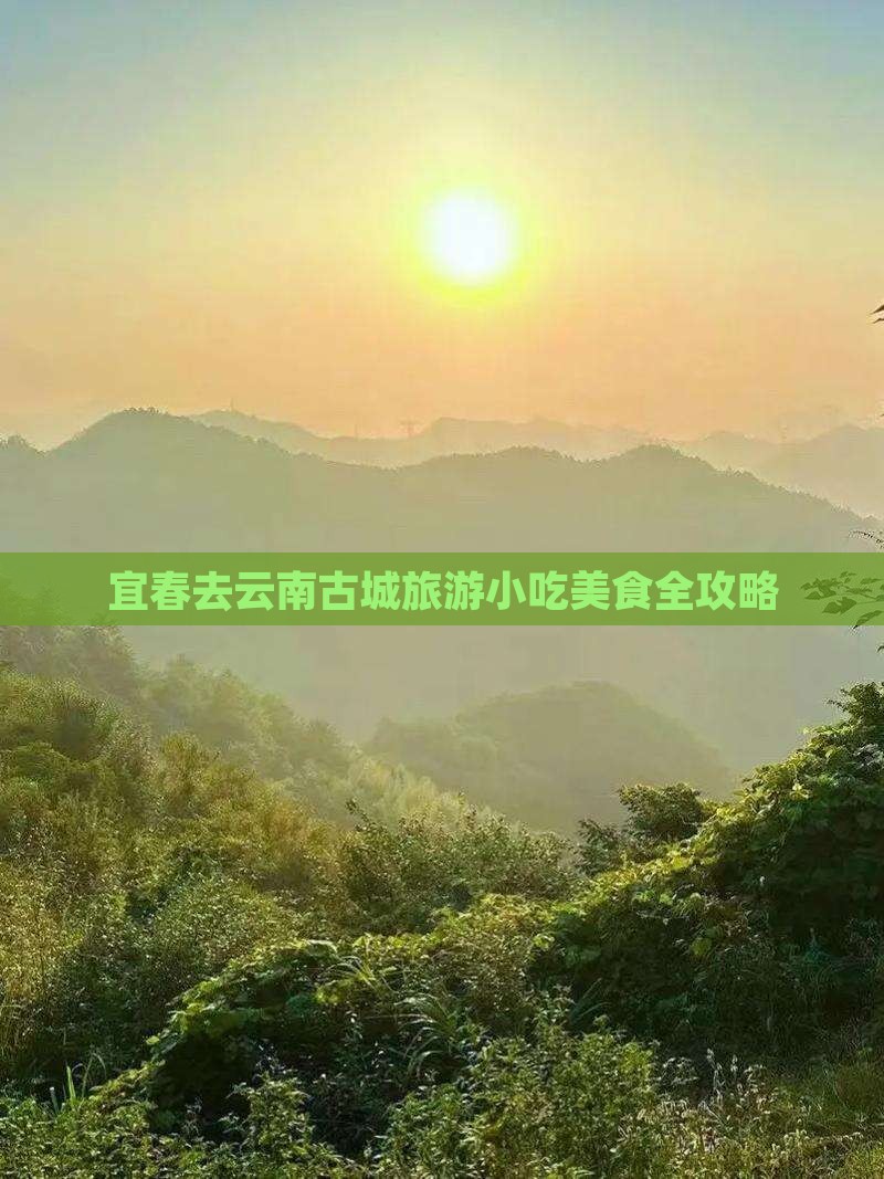 宜春去云南古城旅游小吃