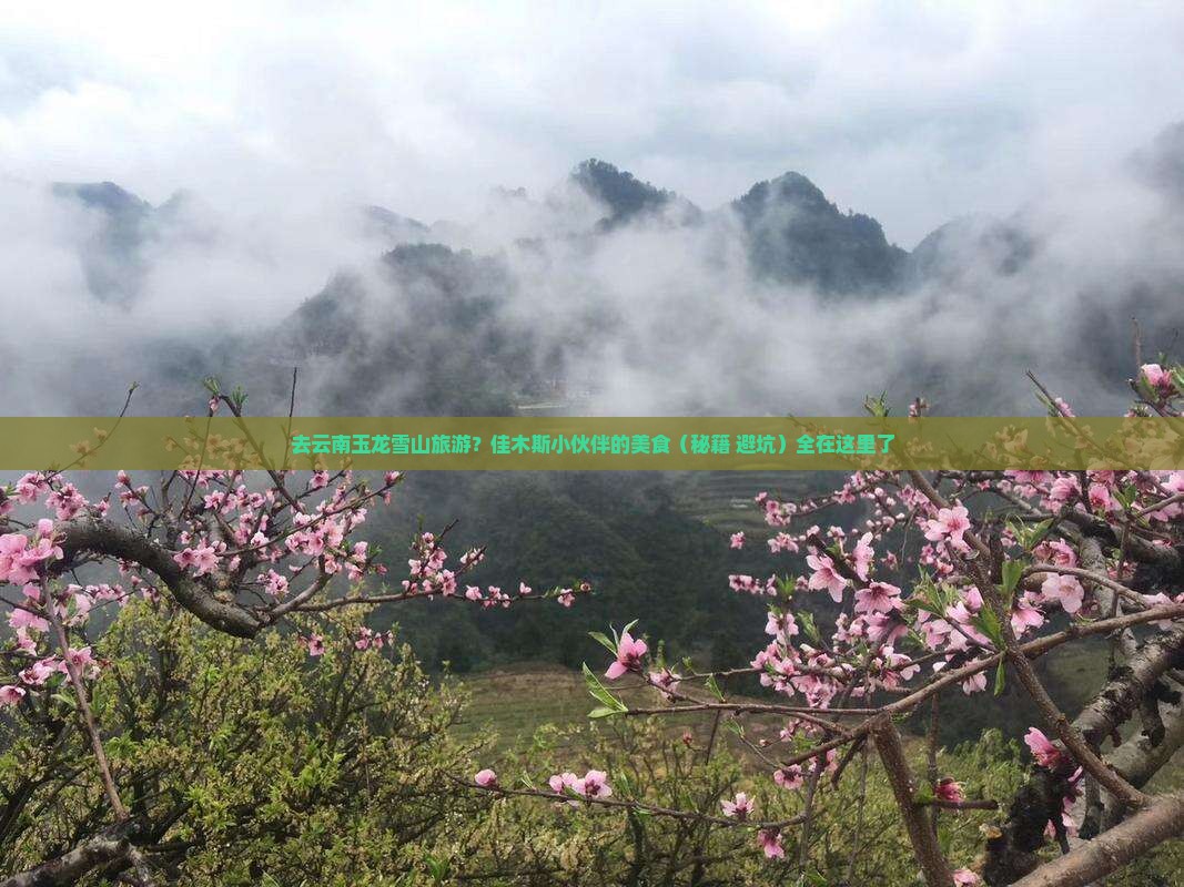 佳木斯去云南玉龙雪山旅游小吃