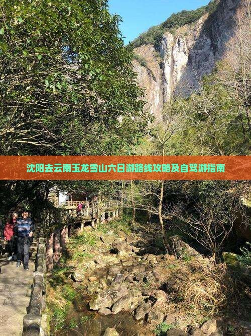 沈阳去云南玉龙雪山六日游