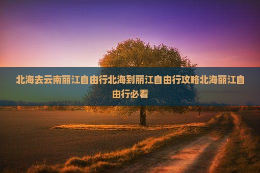 北海去云南丽江自由行