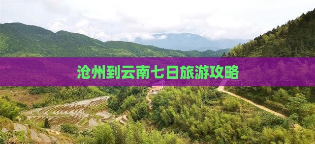 沧州到云南七日游