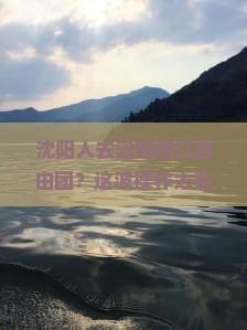 沈阳去云南丽江自由团