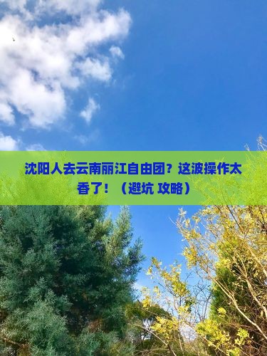 沈阳去云南丽江自由团